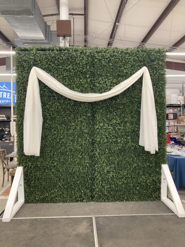 Boxwood Wall